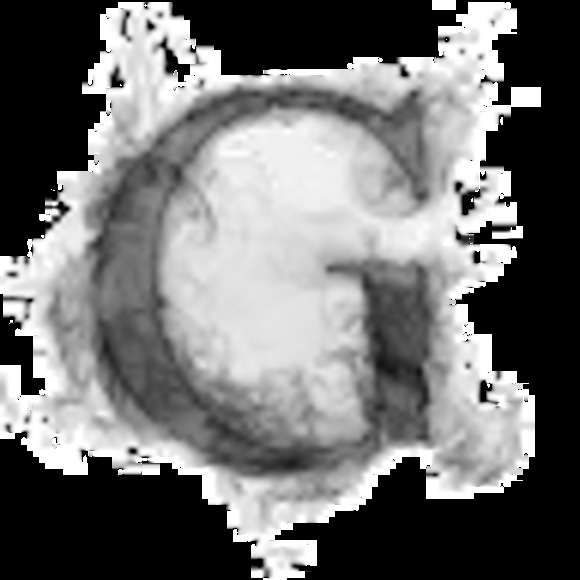 Meet your Posher, Gabby - Picture 1 of 1